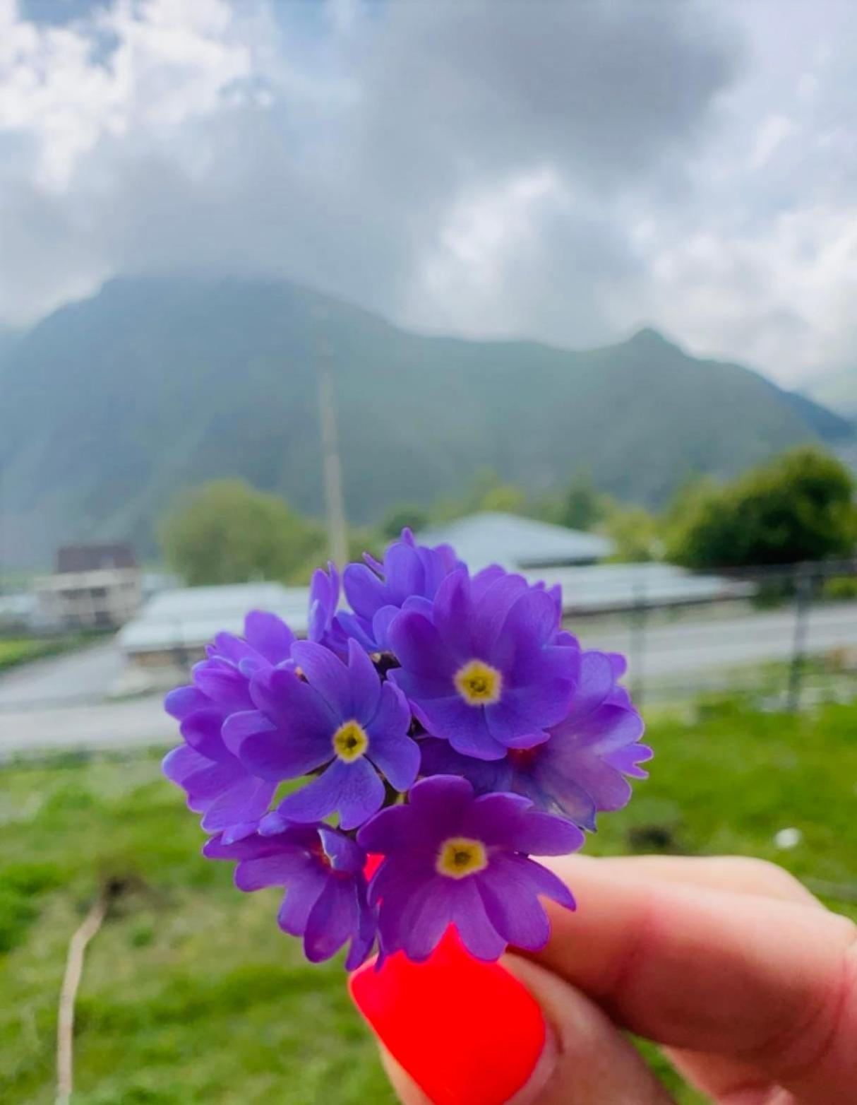 Chalet Kazbegi Otel Dış mekan fotoğraf